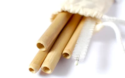 Why Switching to a Bamboo Straw Set Is the Best Eco-Friendly Choice You’ll Make